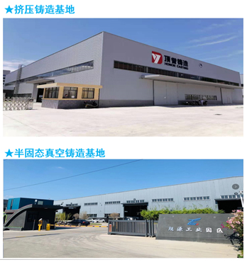 Company Profile
